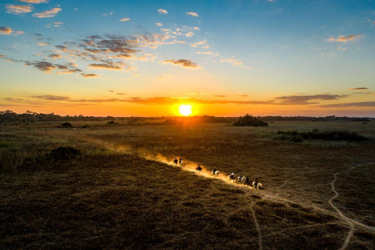 Pousada Araras Pantanal Eco Lodge Carvoalzinho Εξωτερικό φωτογραφία