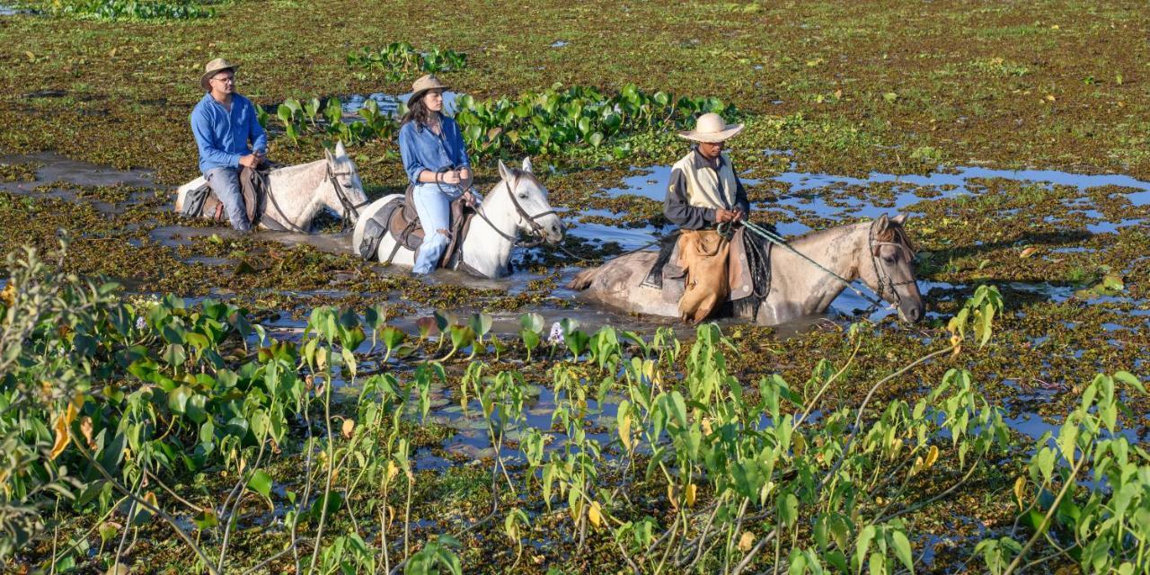 Pousada Araras Pantanal Eco Lodge Carvoalzinho Εξωτερικό φωτογραφία