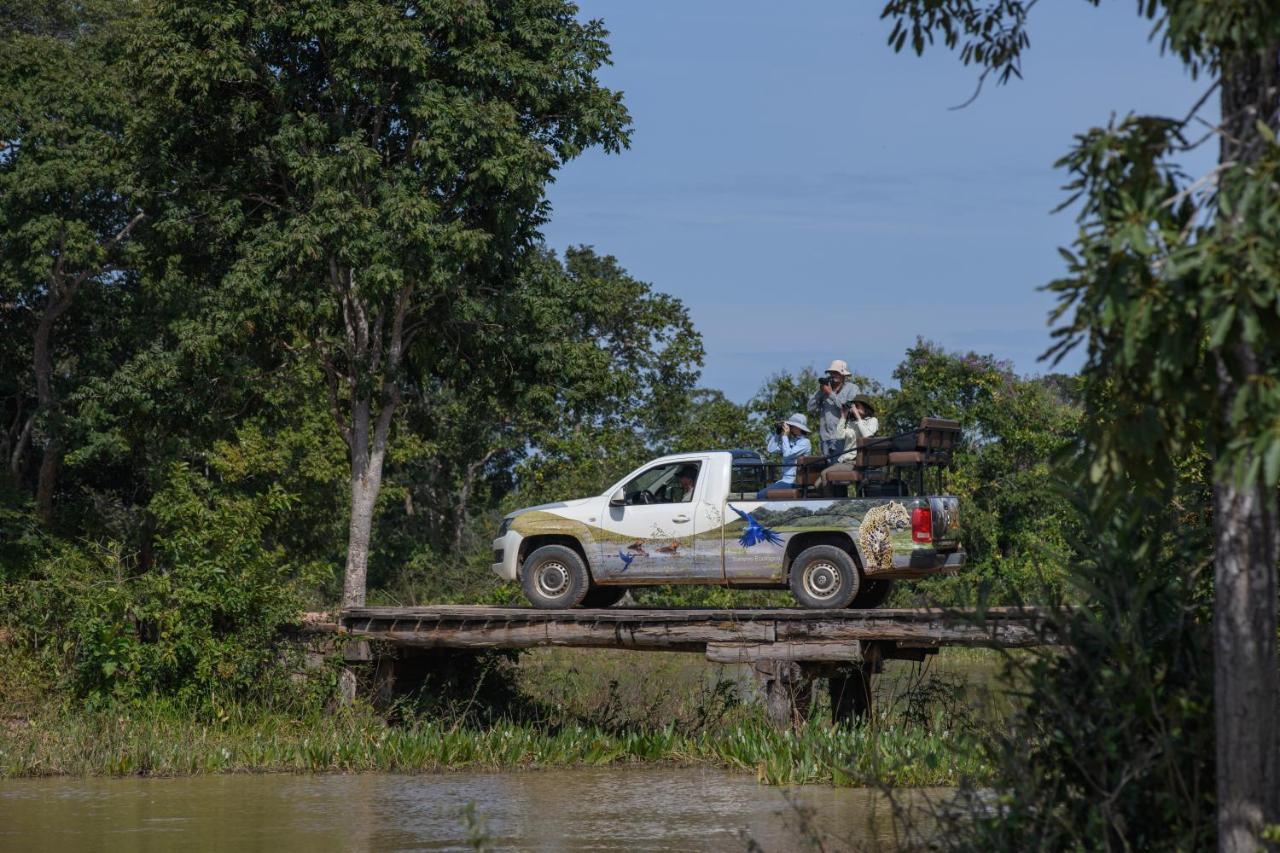 Pousada Araras Pantanal Eco Lodge Carvoalzinho Εξωτερικό φωτογραφία