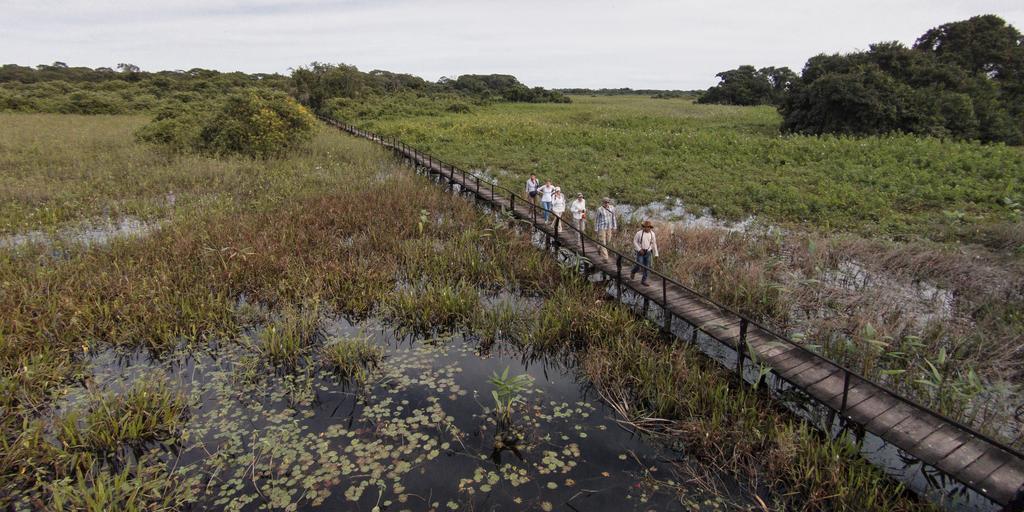 Pousada Araras Pantanal Eco Lodge Carvoalzinho Εξωτερικό φωτογραφία