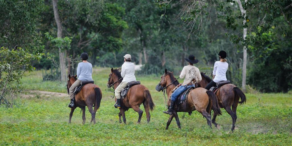 Pousada Araras Pantanal Eco Lodge Carvoalzinho Εξωτερικό φωτογραφία