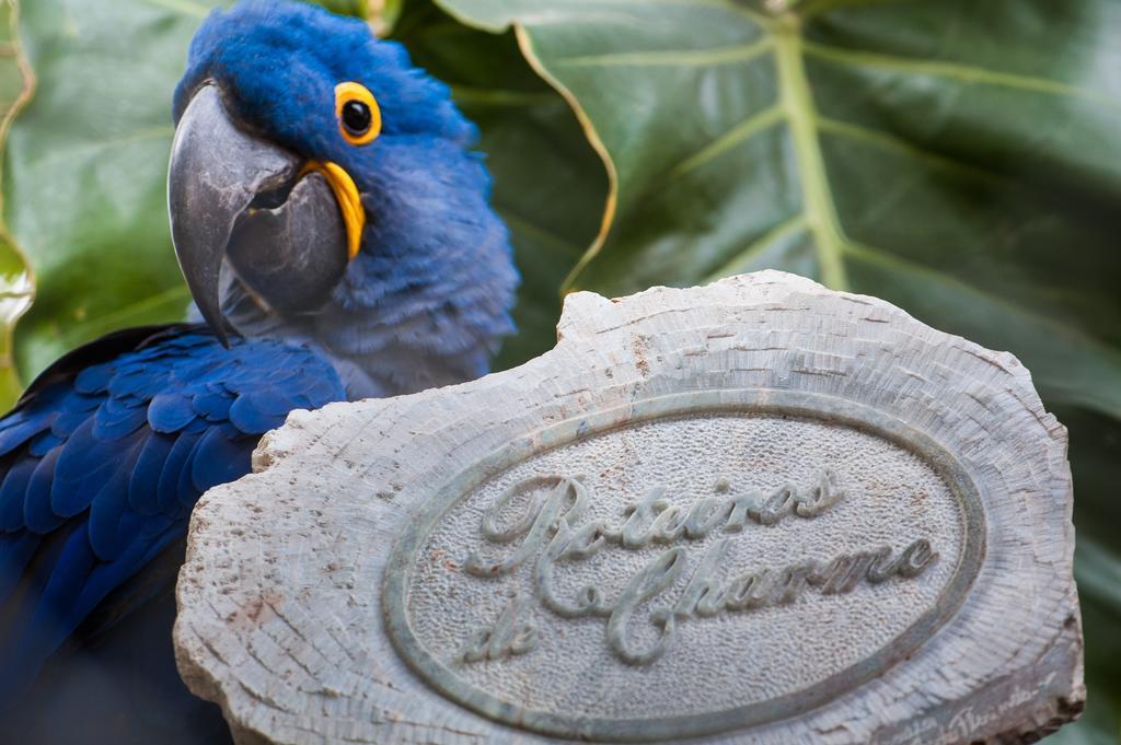 Pousada Araras Pantanal Eco Lodge Carvoalzinho Εξωτερικό φωτογραφία