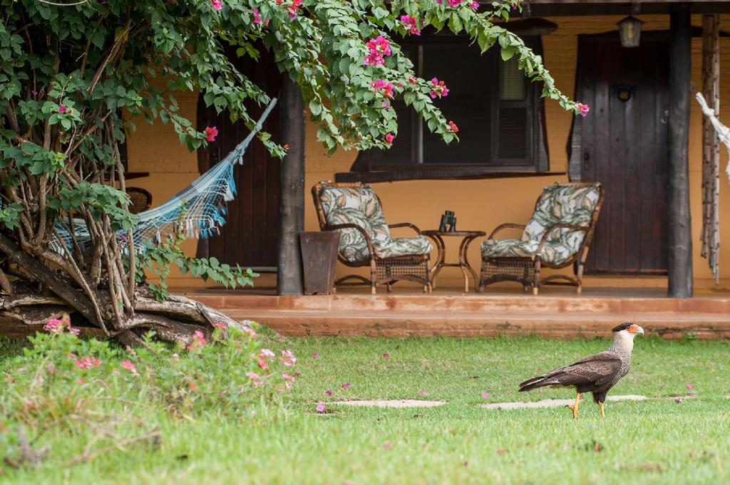 Pousada Araras Pantanal Eco Lodge Carvoalzinho Εξωτερικό φωτογραφία