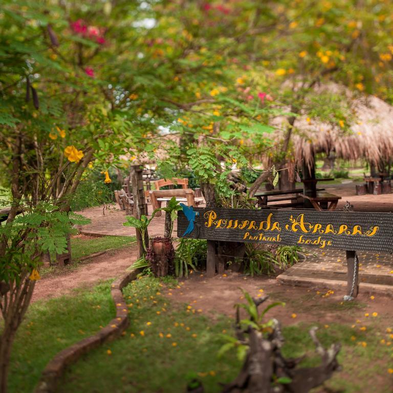 Pousada Araras Pantanal Eco Lodge Carvoalzinho Εξωτερικό φωτογραφία