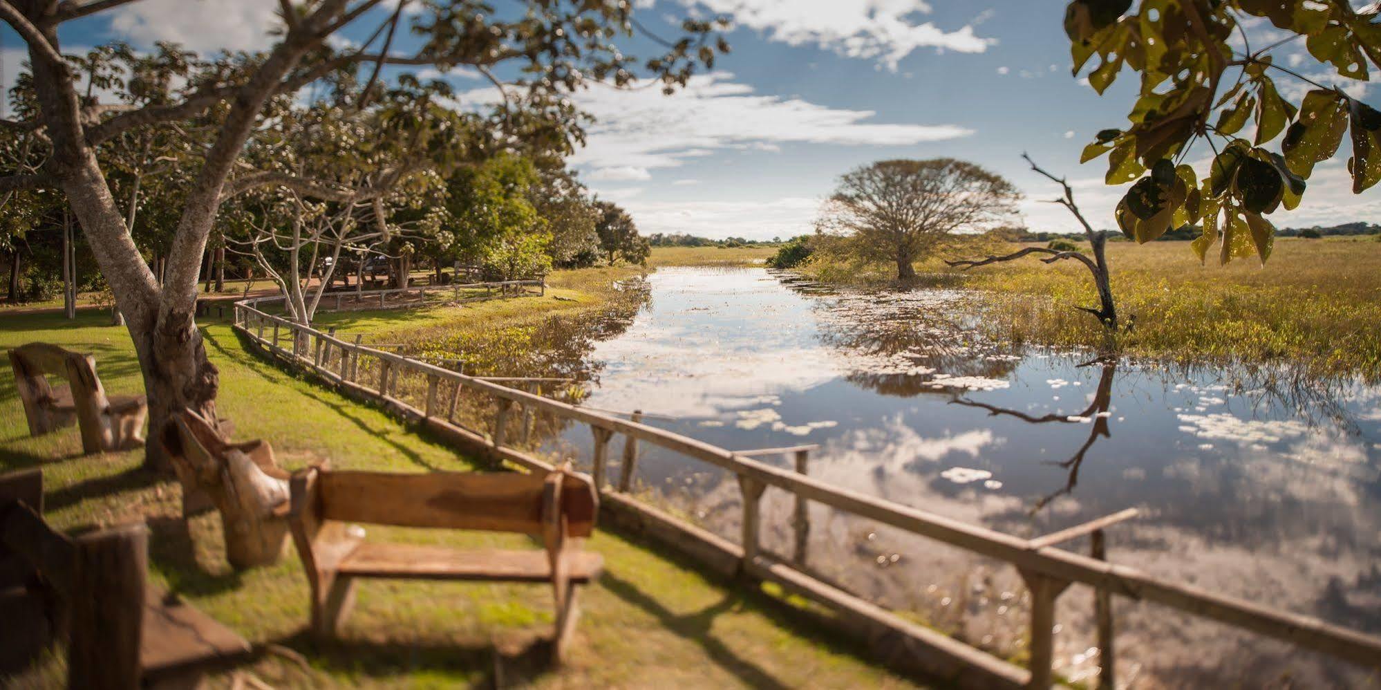 Pousada Araras Pantanal Eco Lodge Carvoalzinho Εξωτερικό φωτογραφία